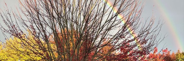 Maria_Marcela Profile Banner