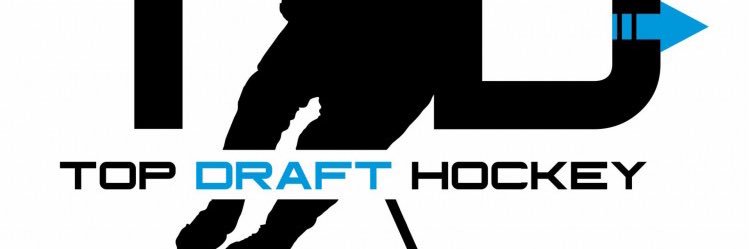 Top Draft Hockey banner