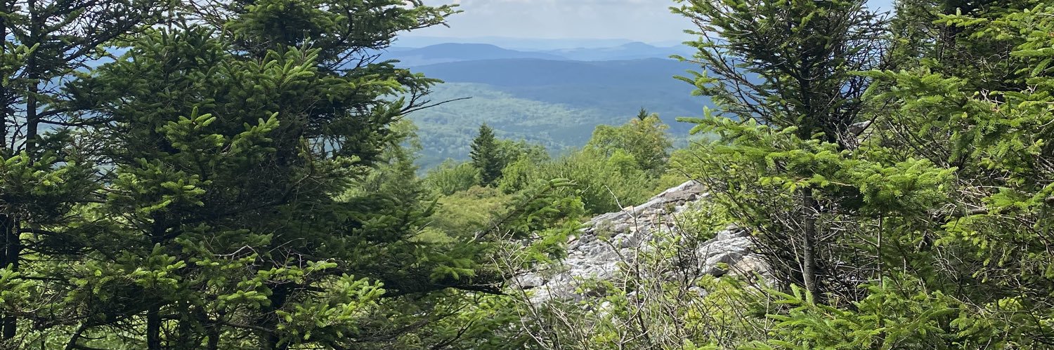 ctferg's profile banner image