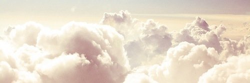 AmandaGreygoose's profile banner image