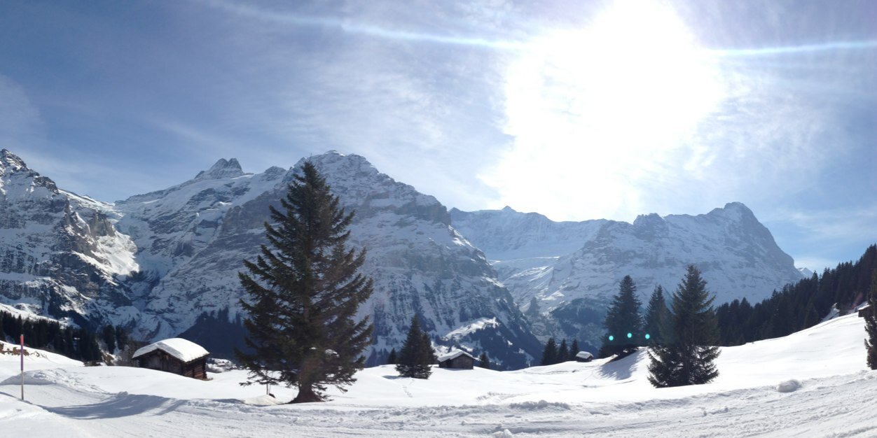 AliVanLoon's profile banner image