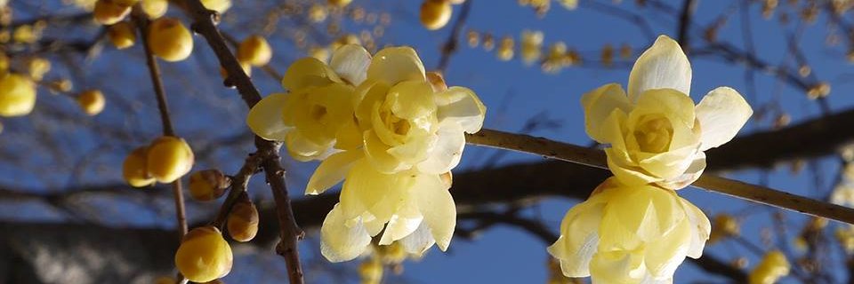 高橋真理子 banner