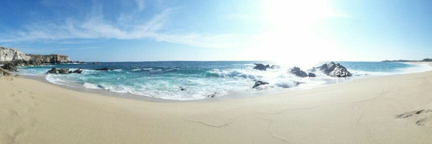 Alejandro Camacho banner