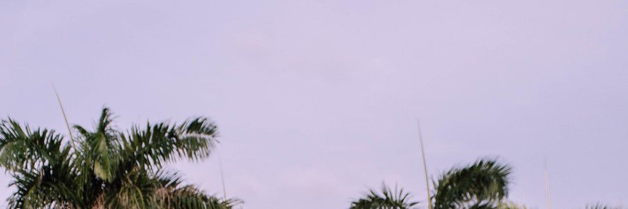 CrackNoise's profile banner image