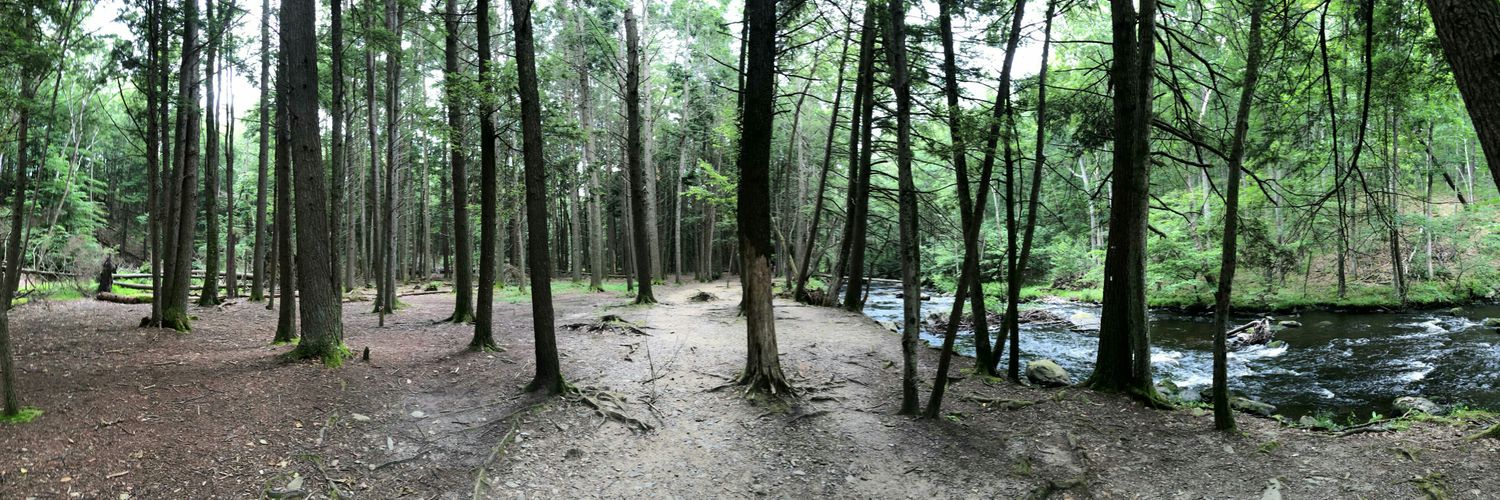 L0chJess's profile banner image