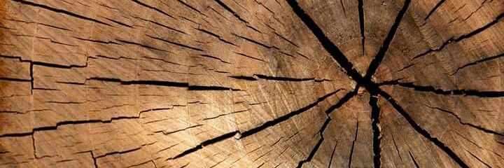 carpinteroslog's profile banner image