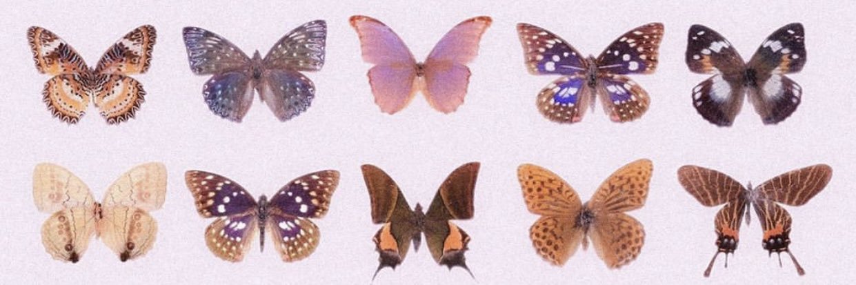 sydneyreeed's profile banner image