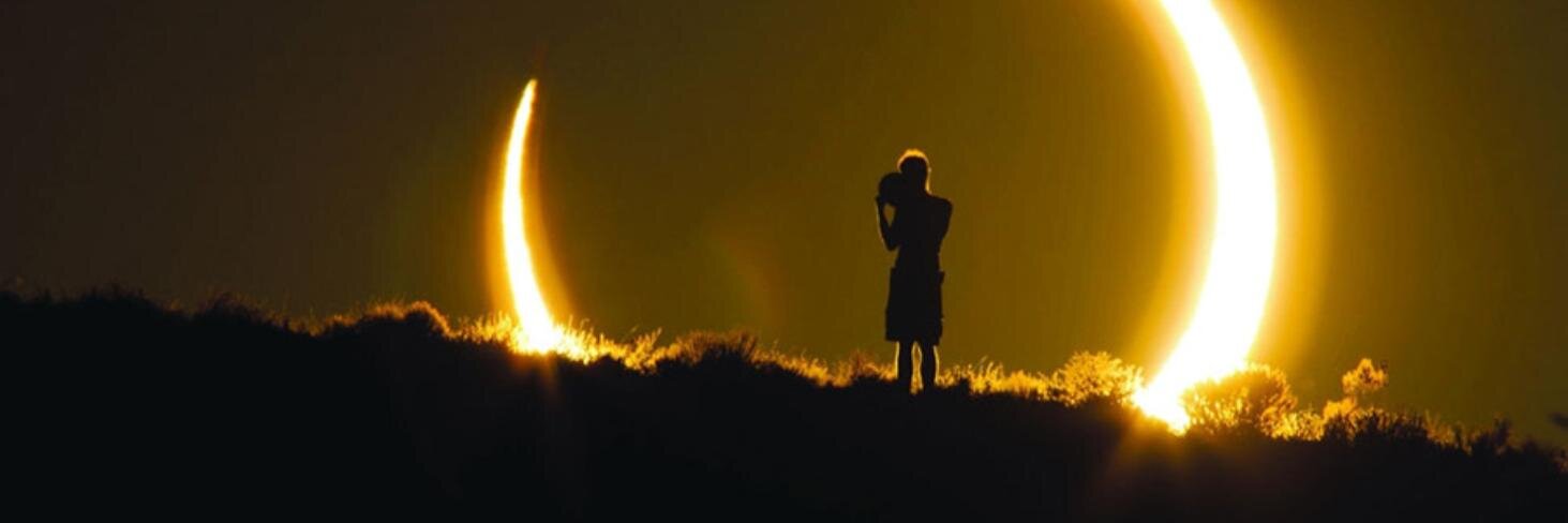 Michael Louie banner