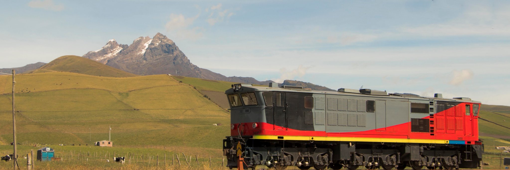 perrodeadolar's profile banner image