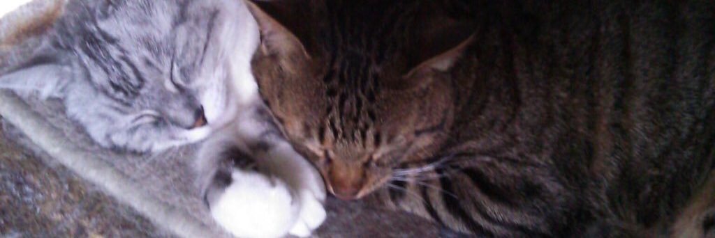 tgu_93's profile banner image