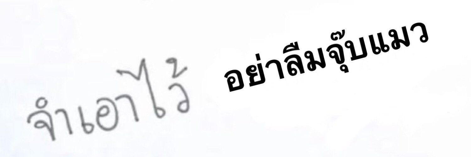 tualeknc's profile banner image