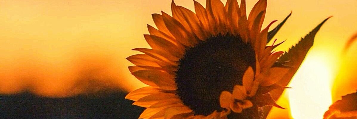 Marcelolozano5's profile banner image