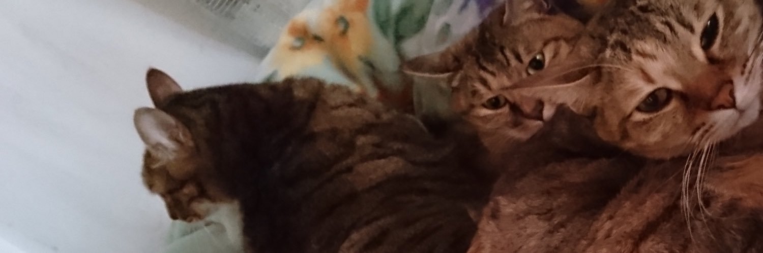 debelon's profile banner image