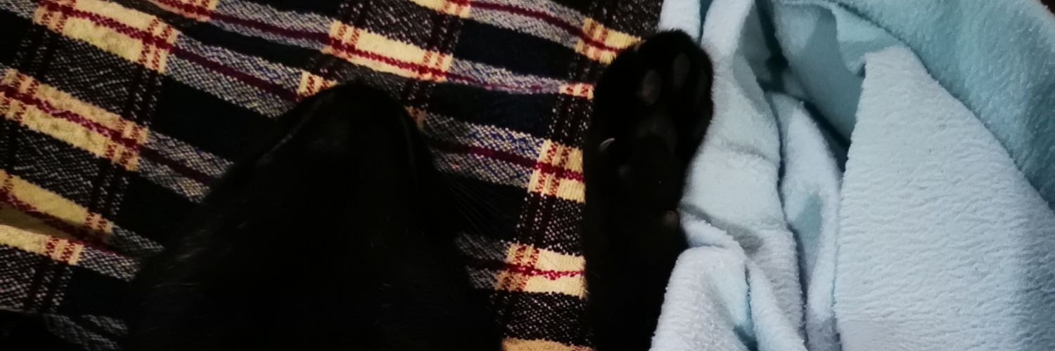 AnneSayatee's profile banner image