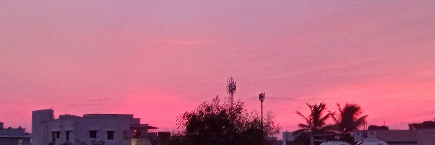 avis78288541's profile banner image