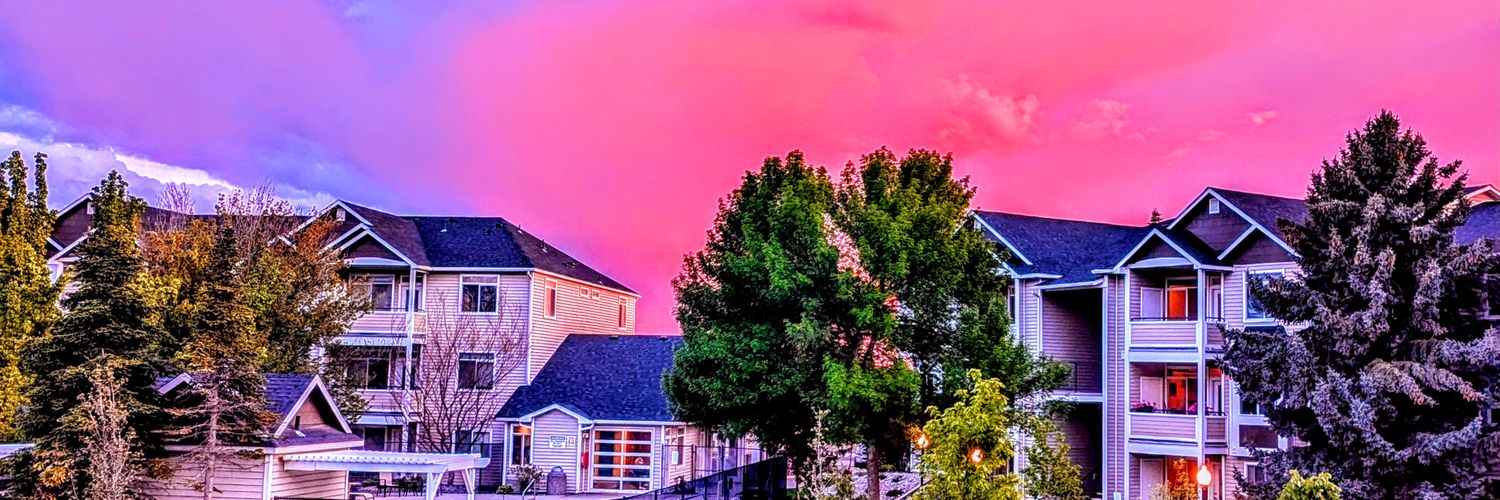 Jack Mango 🥭 🎩 banner