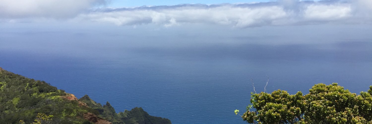 thoughtfularnie's profile banner image