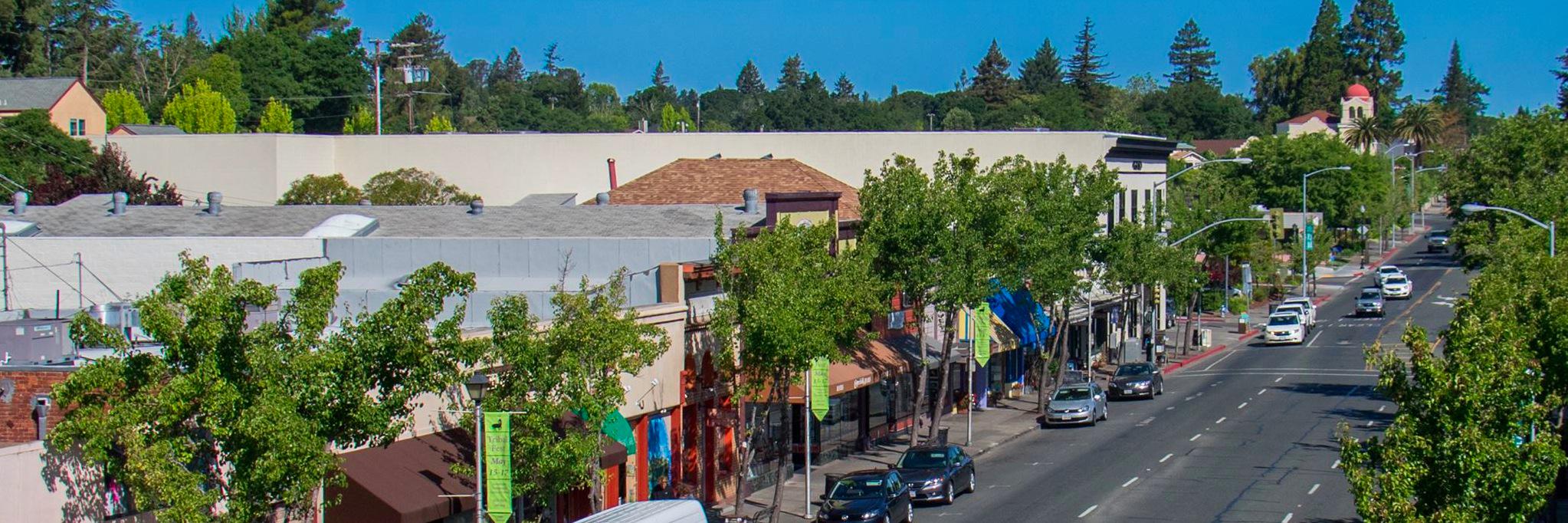 City of Sebastopol banner