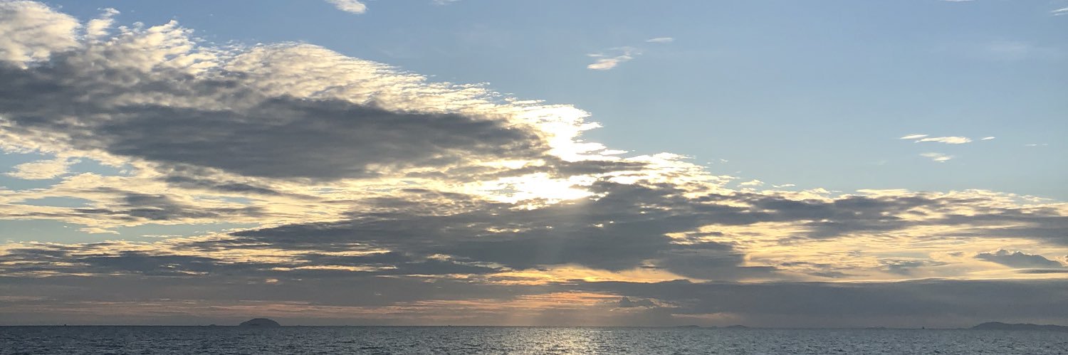 nogynat's profile banner image