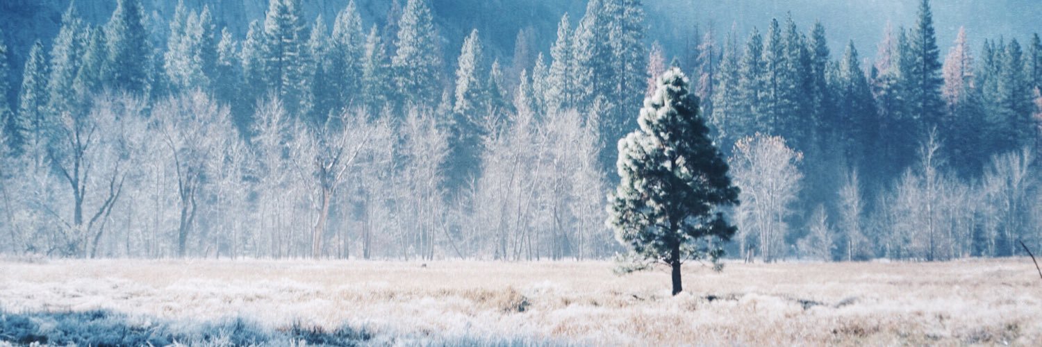 AnjuliSethi's profile banner image