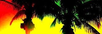 am_pappi's profile banner image