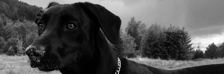 tamera_nelson's profile banner image