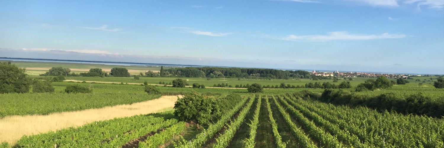 ProRegionNeuSee's profile banner image