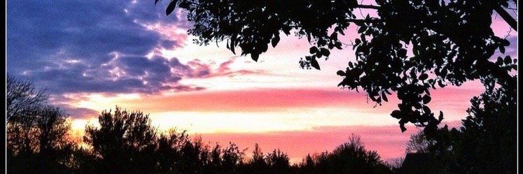 amosiniak's profile banner image