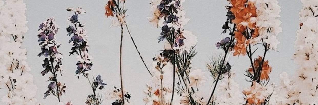 AngelinaBarnaba's profile banner image