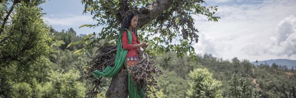 MContrerasColl Profile Banner