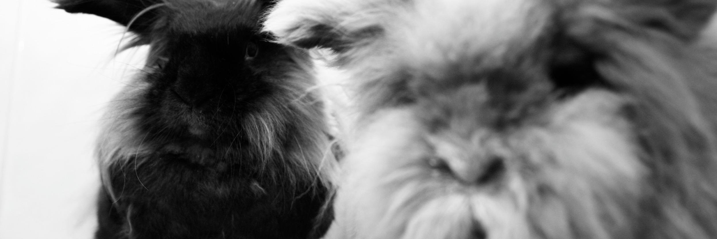 V_DubleU's profile banner image