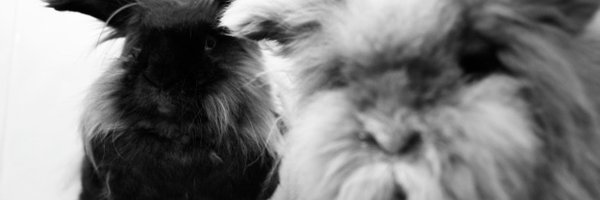 V_DubleU Profile Banner