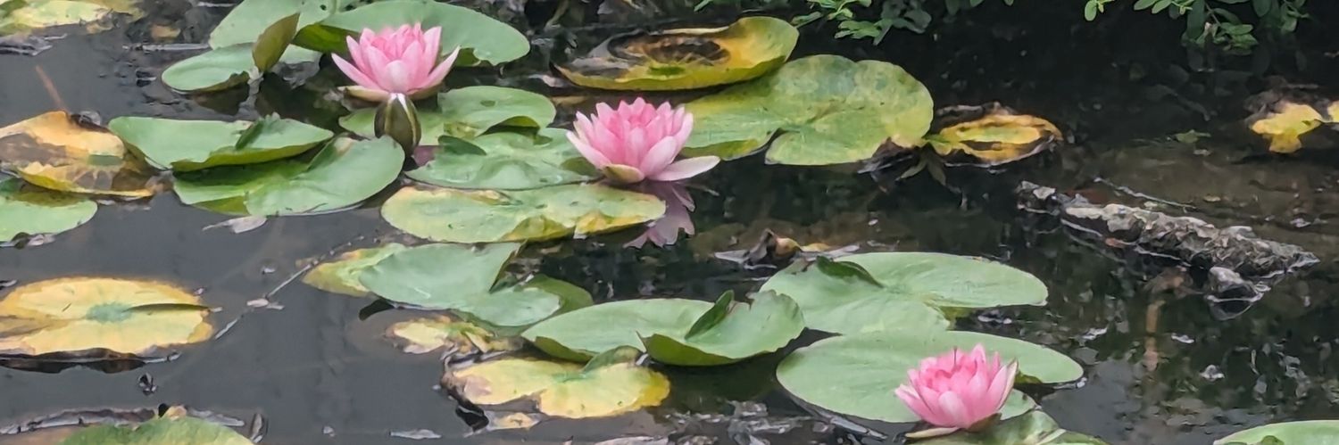 イーソップ banner