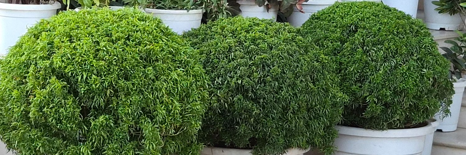 Sumit Adhikari banner