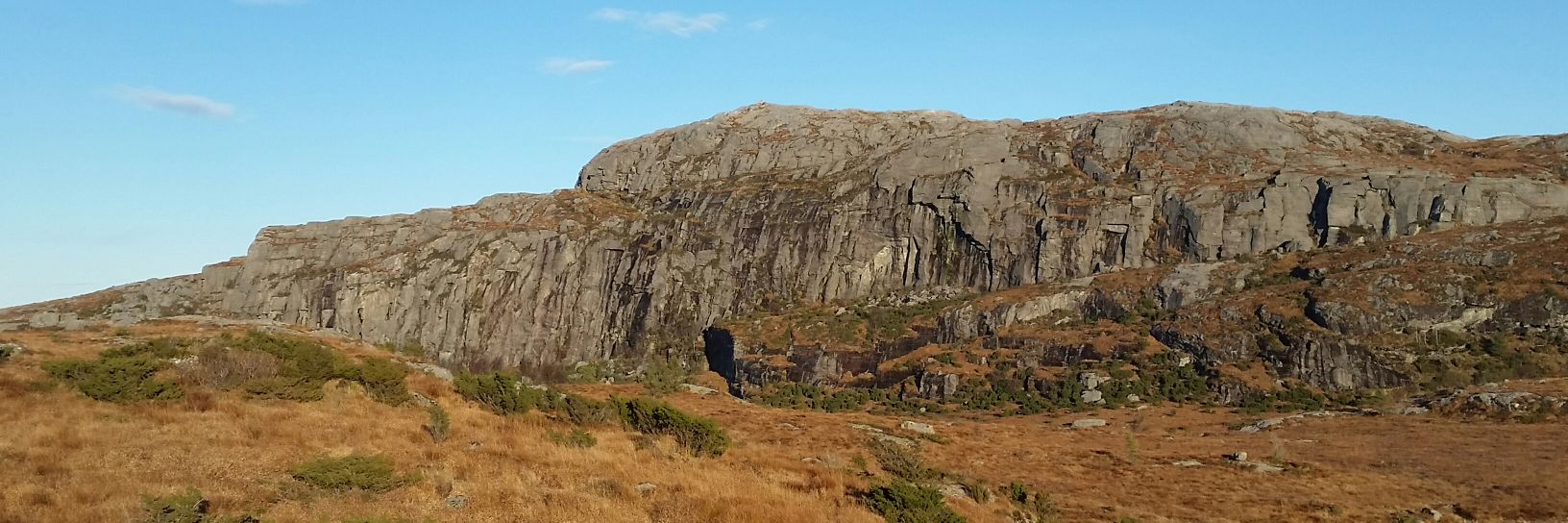 Torill rett og slett banner