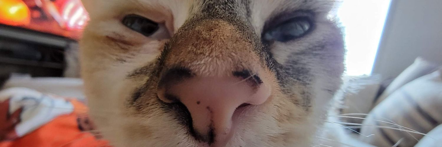 ftkaleh's profile banner image