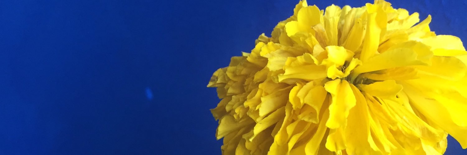atdawn515's profile banner image