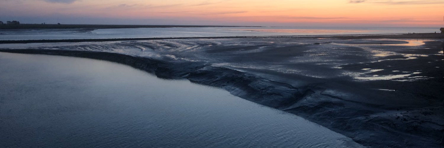 DavidZuazo's profile banner image