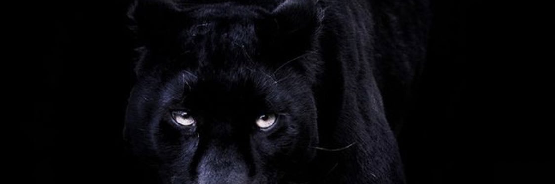 tomm__TM's profile banner image