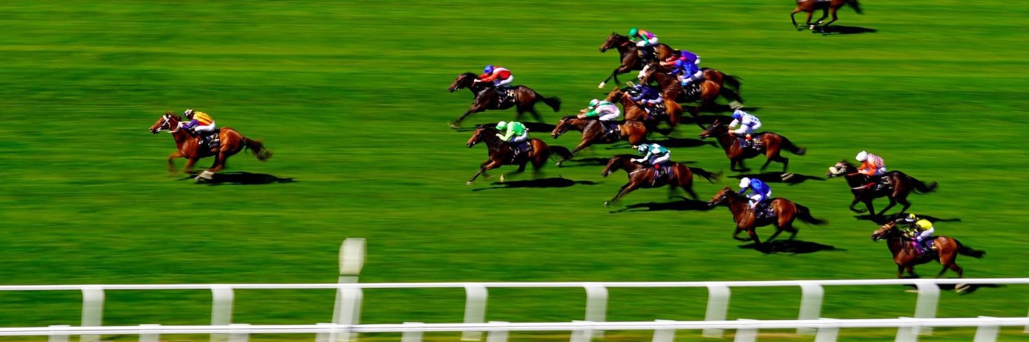 Timmy 🇦🇺 🇳🇿 banner