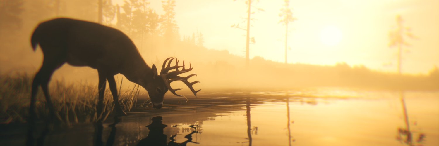 stiiiv19's profile banner image