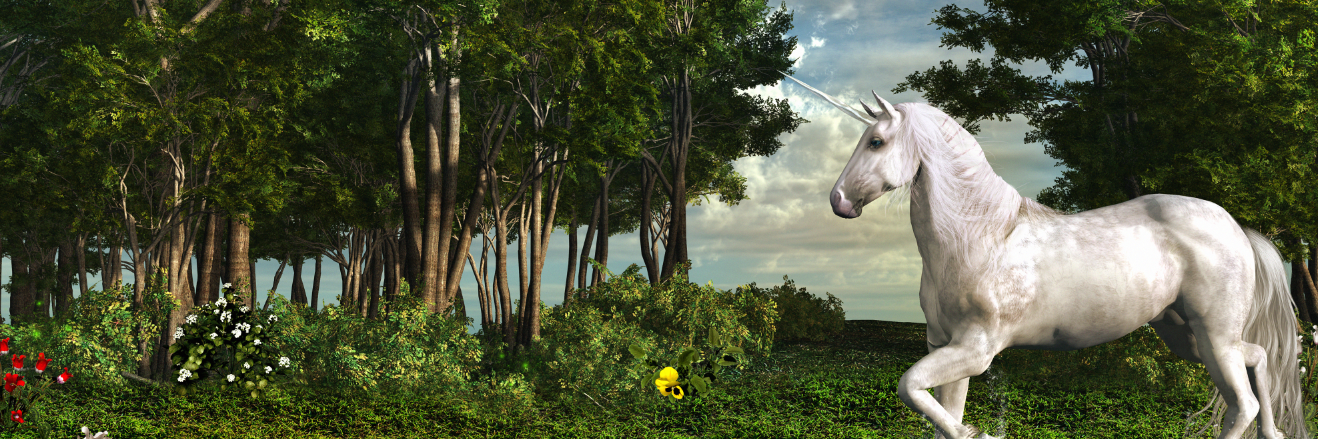 teamwazbe's profile banner image