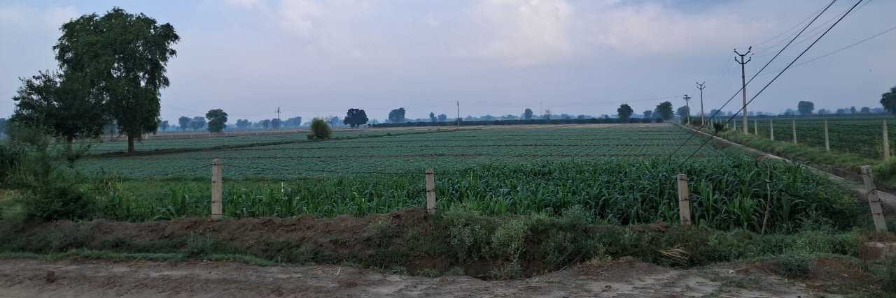 Chann1979's profile banner image