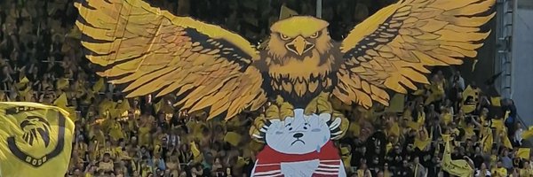 MadsPitbull Profile Banner