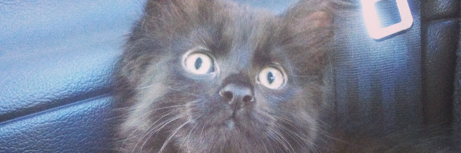 KarlG25's profile banner image
