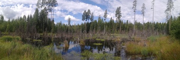 NWillby Profile Banner