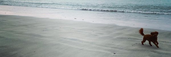 izzy_suth Profile Banner