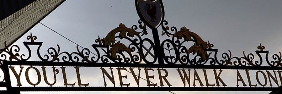 Dino Ribeiro banner