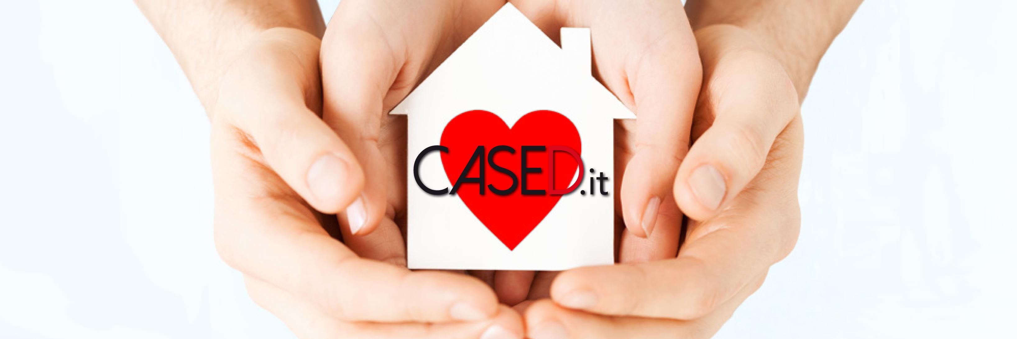 CaseD_it's profile banner image