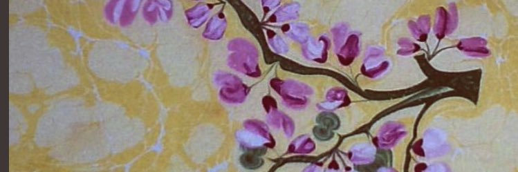 SafureC's profile banner image